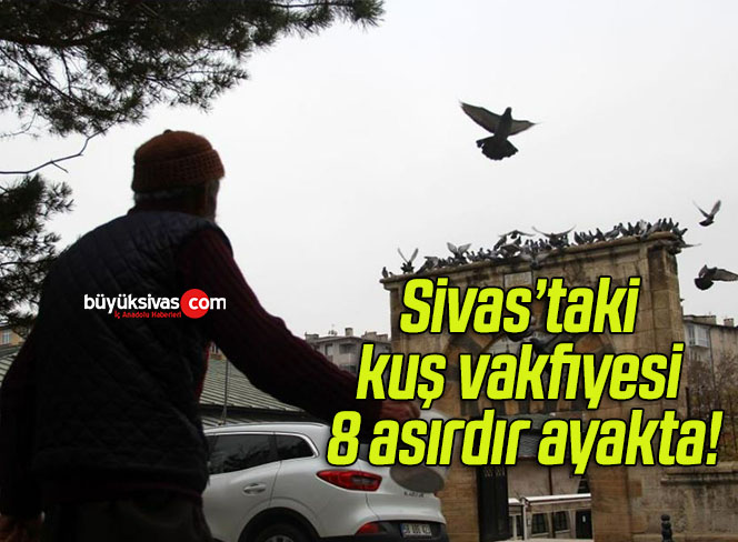 Sivas’taki kuş vakfiyesi 8 asırdır ayakta!
