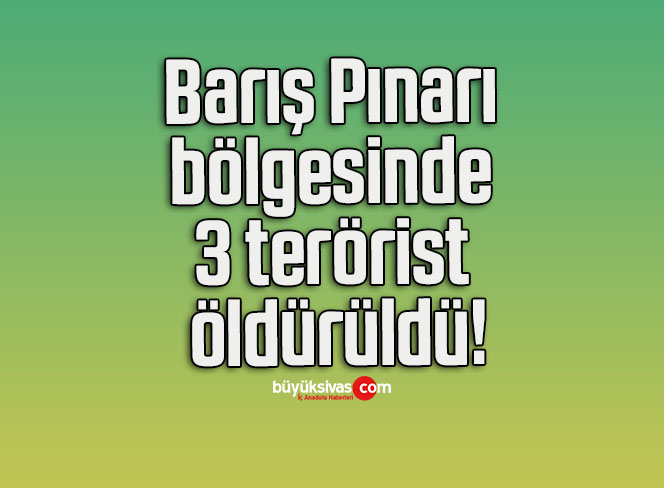 pın