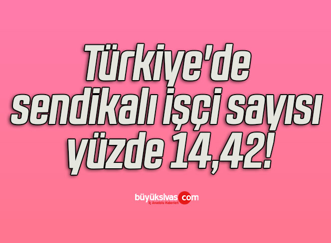 Türkiye’de sendikalı işçi sayısı yüzde 14,42!