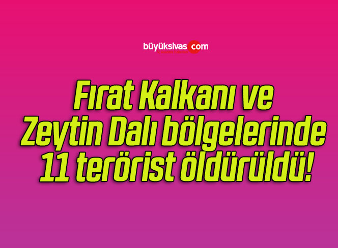 Fırat Kalkanı ve Zeytin Dalı bölgelerinde 11 terörist öldürüldü!