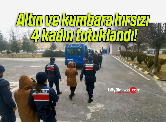 Altın ve kumbara hırsızı 4 kadın tutuklandı!