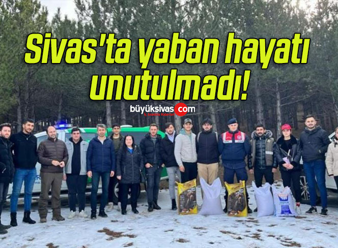 Sivas’ta yaban hayatı unutulmadı!
