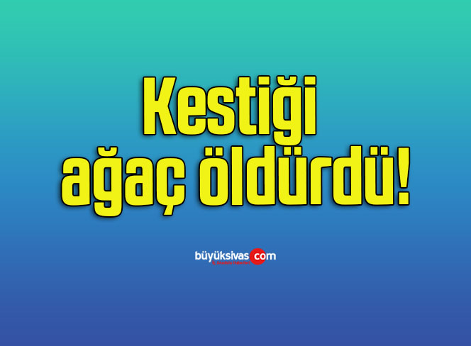 Kestiği ağaç öldürdü!