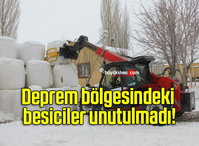 besici