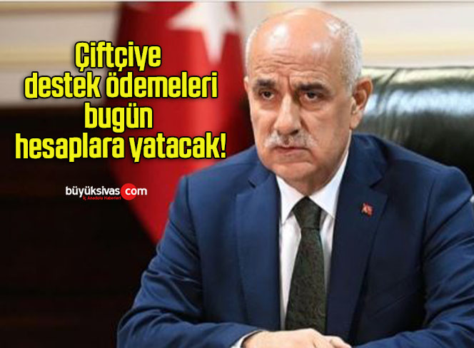 Çiftçiye destek ödemeleri bugün hesaplara yatacak!
