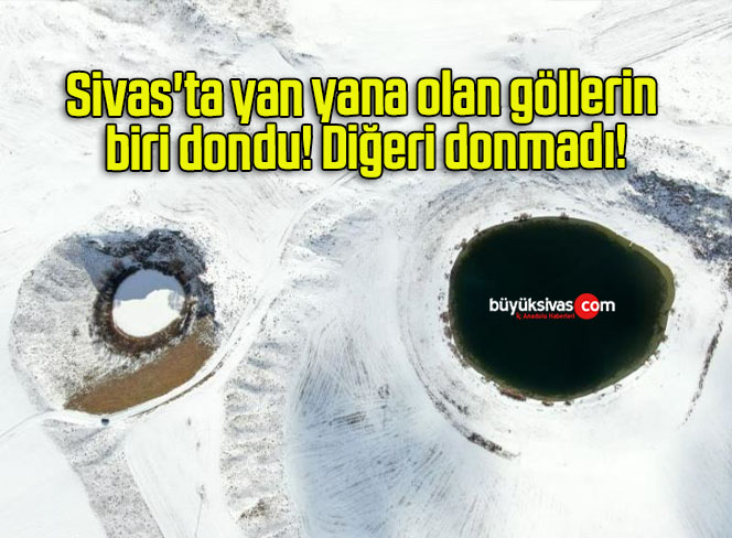 dondu