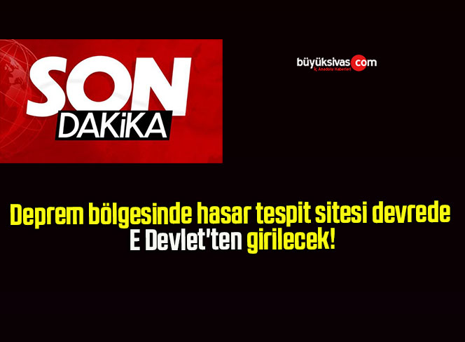 e devlet