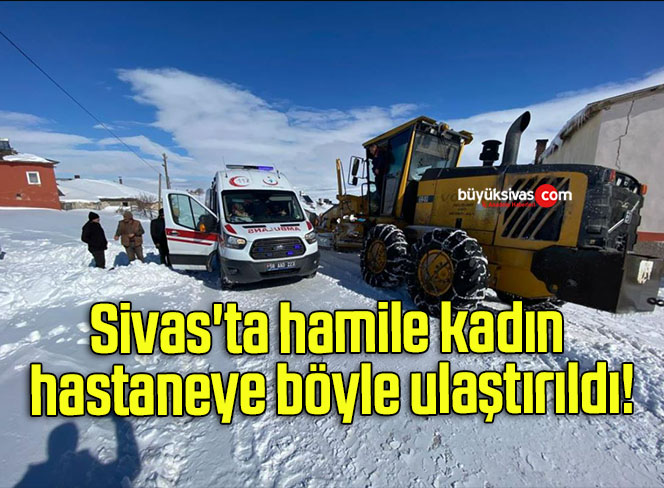 hamile