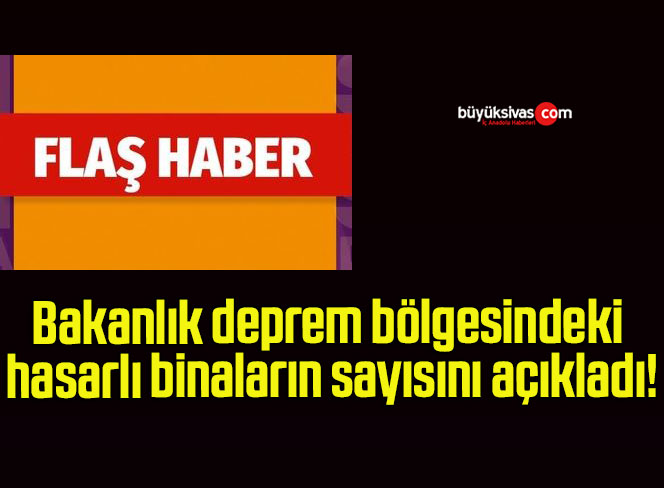 Bakanlık deprem bölgesindeki hasarlı binaların sayısını açıkladı!