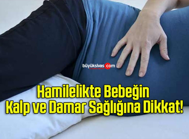 Hamilelikte Bebeğin Kalp ve Damar Sağlığına Dikkat!