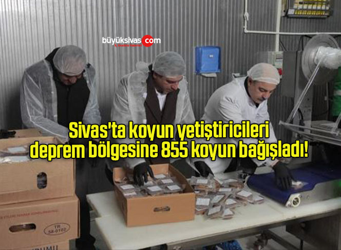 Sivas’ta koyun yetiştiricileri deprem bölgesine 855 koyun bağışladı! 