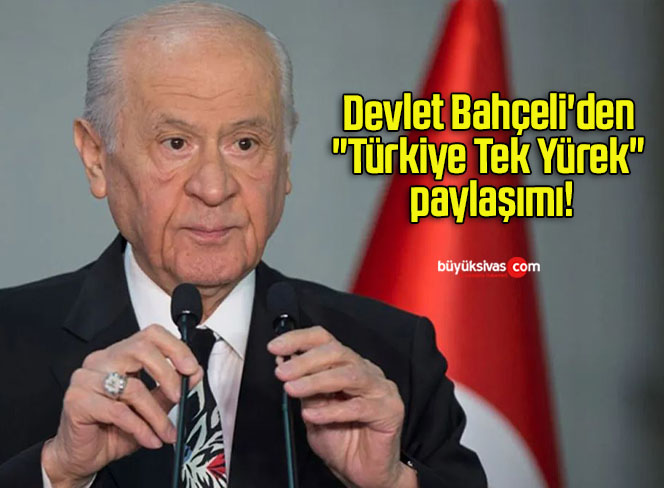 paylaşım