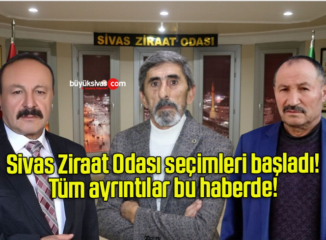 seçimler