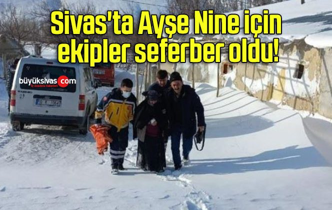 Sivas’ta Ayşe Nine için ekipler seferber oldu!