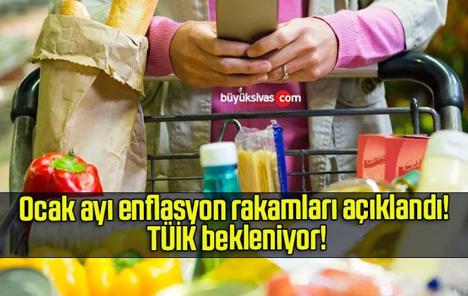 Ocak ayı enflasyon rakamları açıklandı! TÜİK bekleniyor!