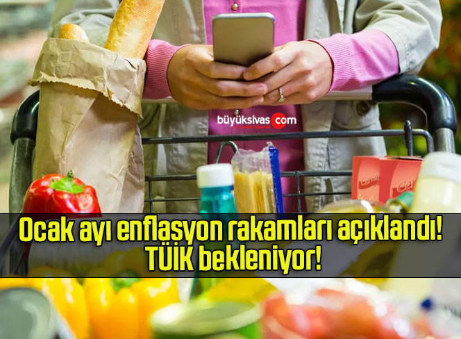 Ocak ayı enflasyon rakamları açıklandı! TÜİK bekleniyor!