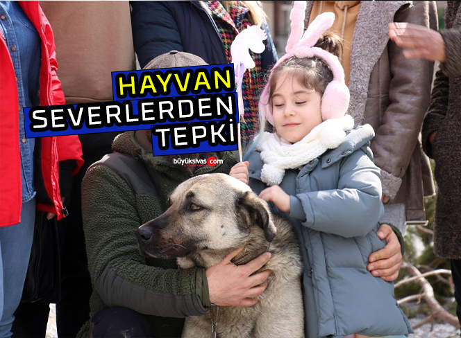 Kulübesi yakılan hayvanın sevenleri tepki gösterdi