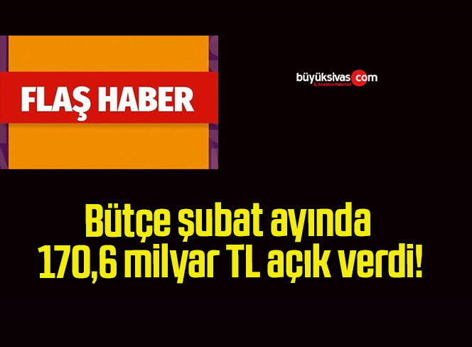 Bütçe şubat ayında 170,6 milyar TL açık verdi!