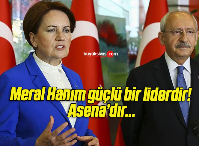 Meral Hanım güçlü bir liderdir! Asena’dır…