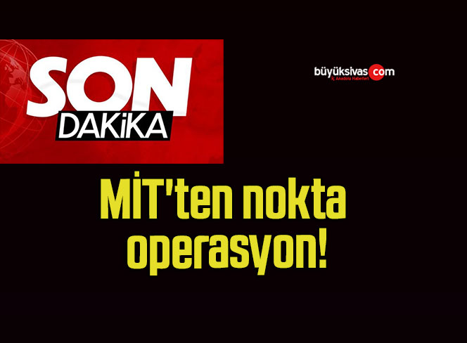 MİT’ten nokta operasyon!