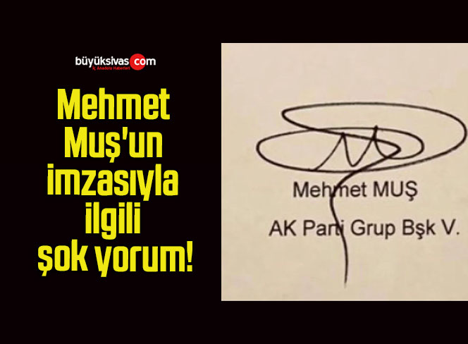 yorum