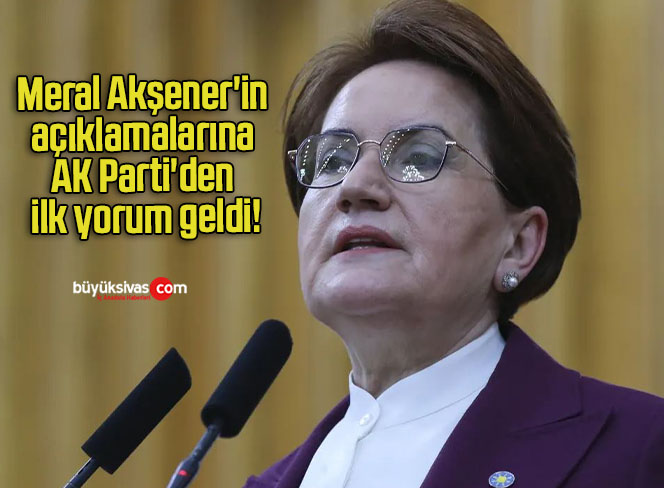 Meral Akşener’in açıklamalarına AK Parti’den ilk yorum geldi!