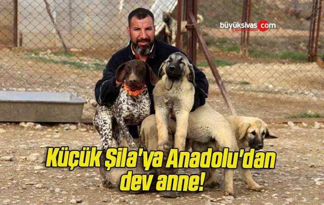 Küçük Şila’ya Anadolu’dan dev anne!