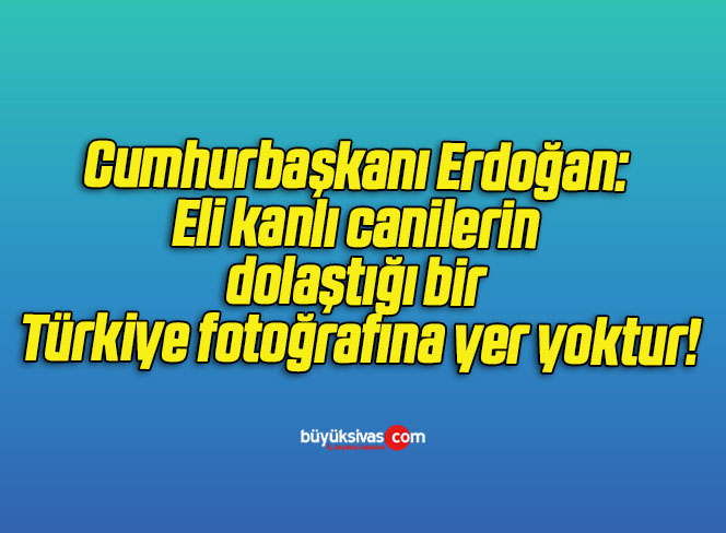 Cumhurbaşkanı Erdoğan: Eli kanlı canilerin dolaştığı bir Türkiye fotoğrafına yer yoktur!