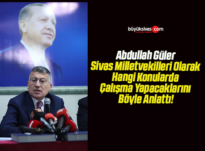 Abdullah Güler Sivas Milletvekilleri Olarak Hangi Konularda Çalışma Yapacaklarını Böyle Anlattı!