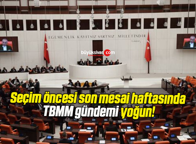 Seçim öncesi son mesai haftasında TBMM gündemi yoğun!