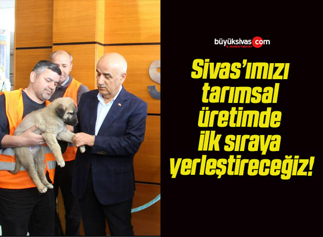 ilk