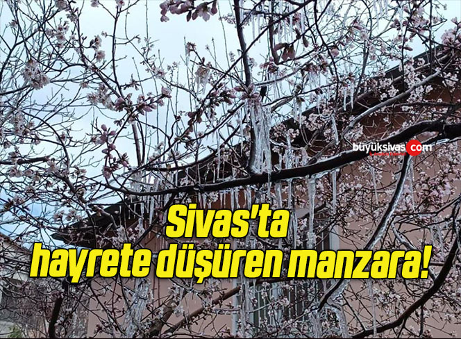 Sivas’ta hayrete düşüren manzara!