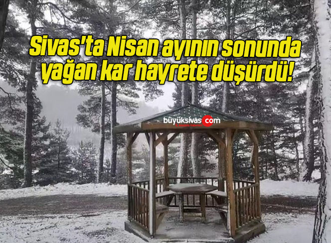 Sivas’ta Nisan ayının sonunda yağan kar hayrete düşürdü!