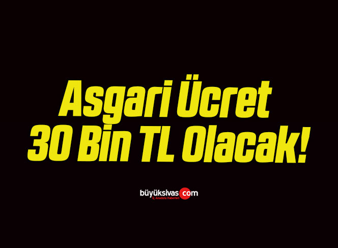 Asgari Ücret 30 Bin TL Olacak!