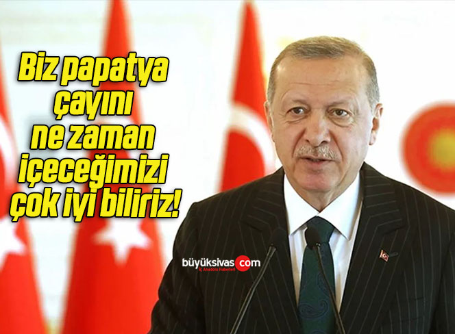 Biz papatya çayını ne zaman içeceğimizi çok iyi biliriz!