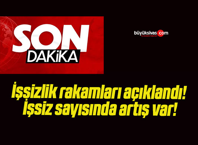 sayısı