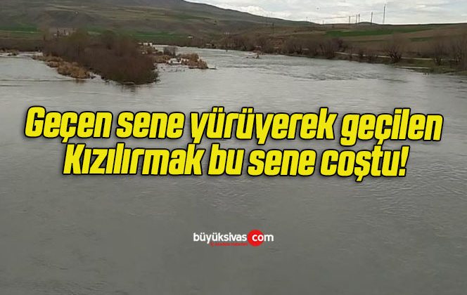 Geçen sene yürüyerek geçilen Kızılırmak bu sene coştu!