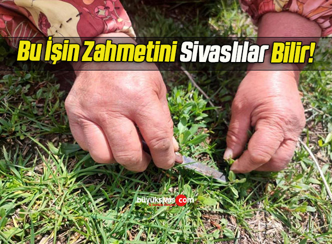 sivaslılar