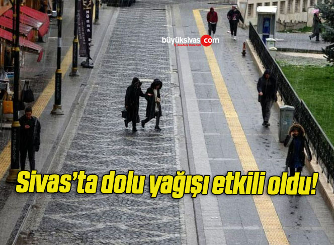 Sivas’ta dolu yağışı etkili oldu!
