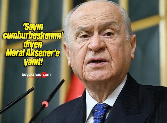 ‘Sayın cumhurbaşkanım’ diyen Meral Akşener’e yanıt!