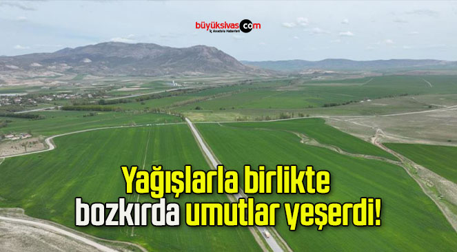 Yağışlarla birlikte bozkırda umutlar yeşerdi!