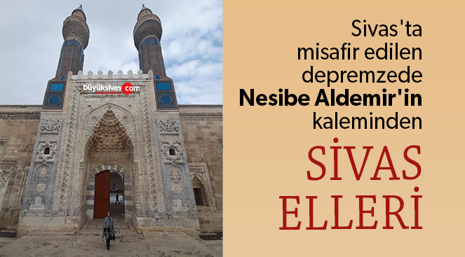 Nesibe Aldemir