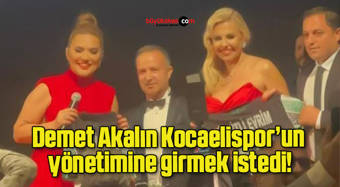 YÖNETİM