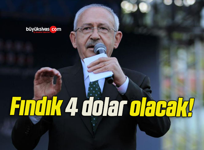 dolar