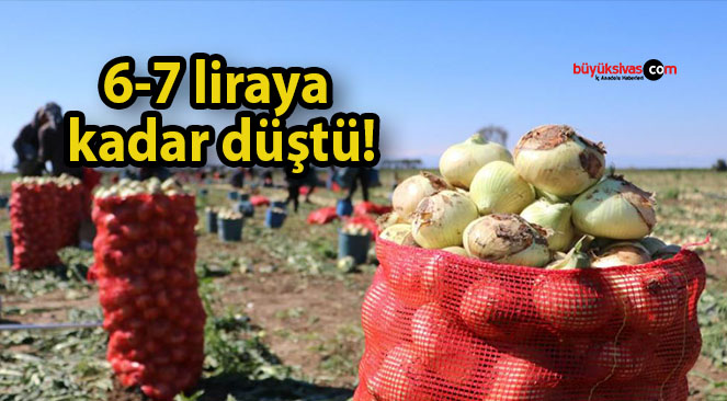 Soğan fiyatları 6-7 liraya kadar düştü!
