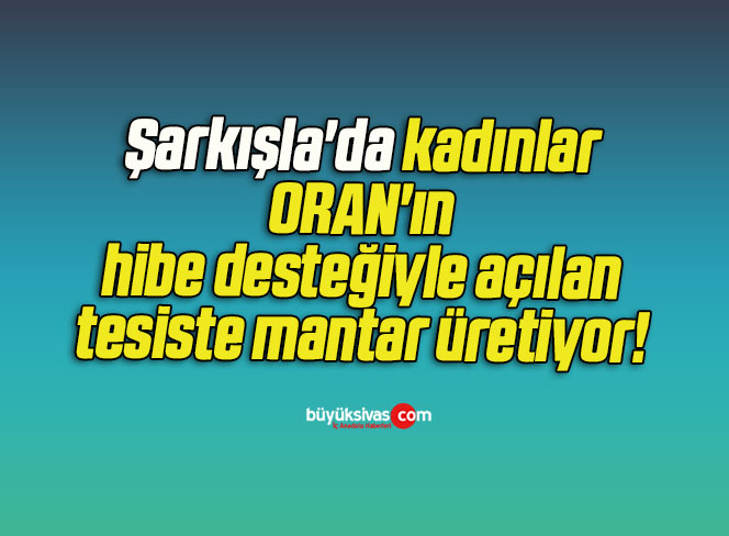Şarkışla’da kadınlar ORAN’ın hibe desteğiyle açılan tesiste mantar üretiyor! 