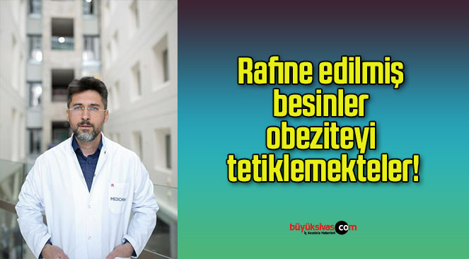 Rafine edilmiş besinler obeziteyi tetiklemekteler!