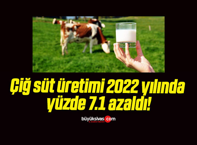 Çiğ süt üretimi 2022 yılında yüzde 7.1 azaldı!