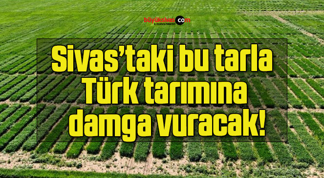 tarım