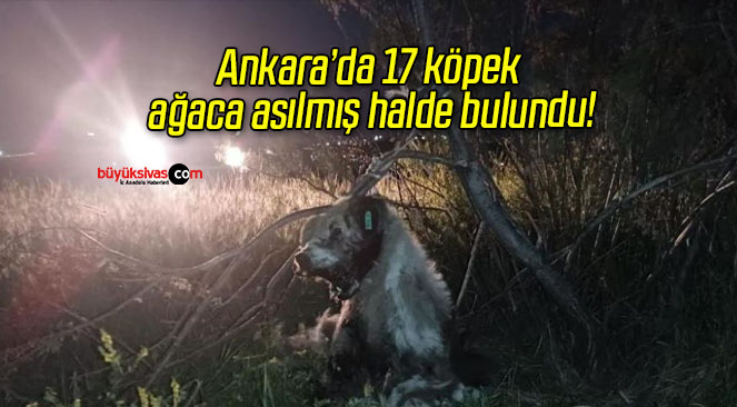 HALDE